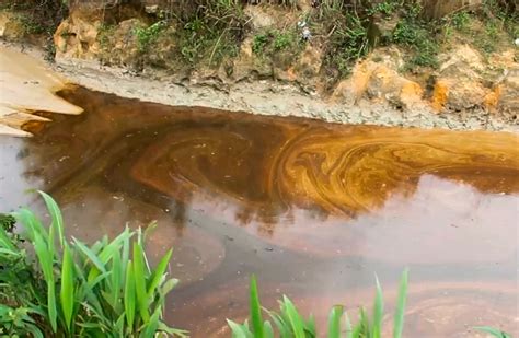 Shell oil pipeline spill fouls farms, river in Niger Delta